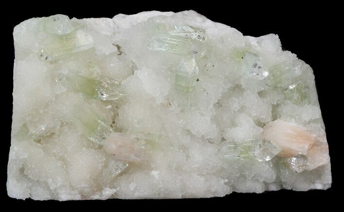 Lustrous Zoned Apophyllite Crystals with Stilbite - India #44353